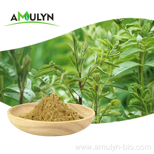 Licorice Root Extract Glycyrrhizine R19 R21 Powder